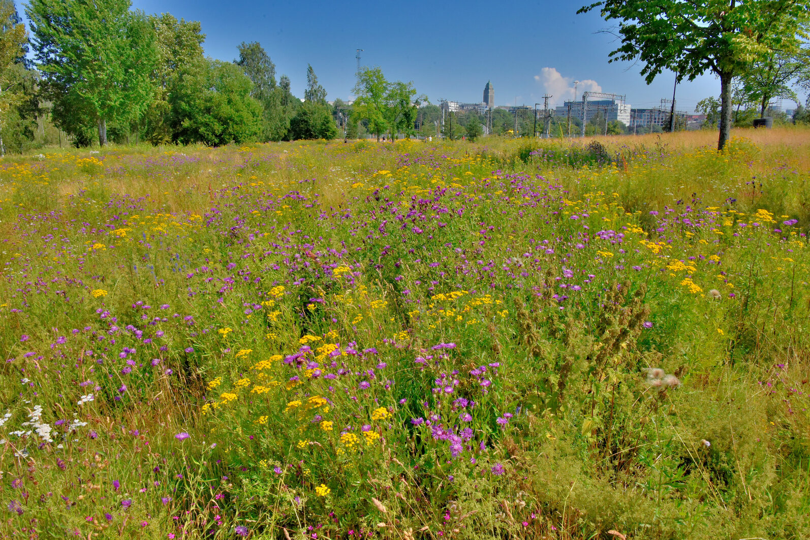 Valokuvaaja: Reijo Juurinen