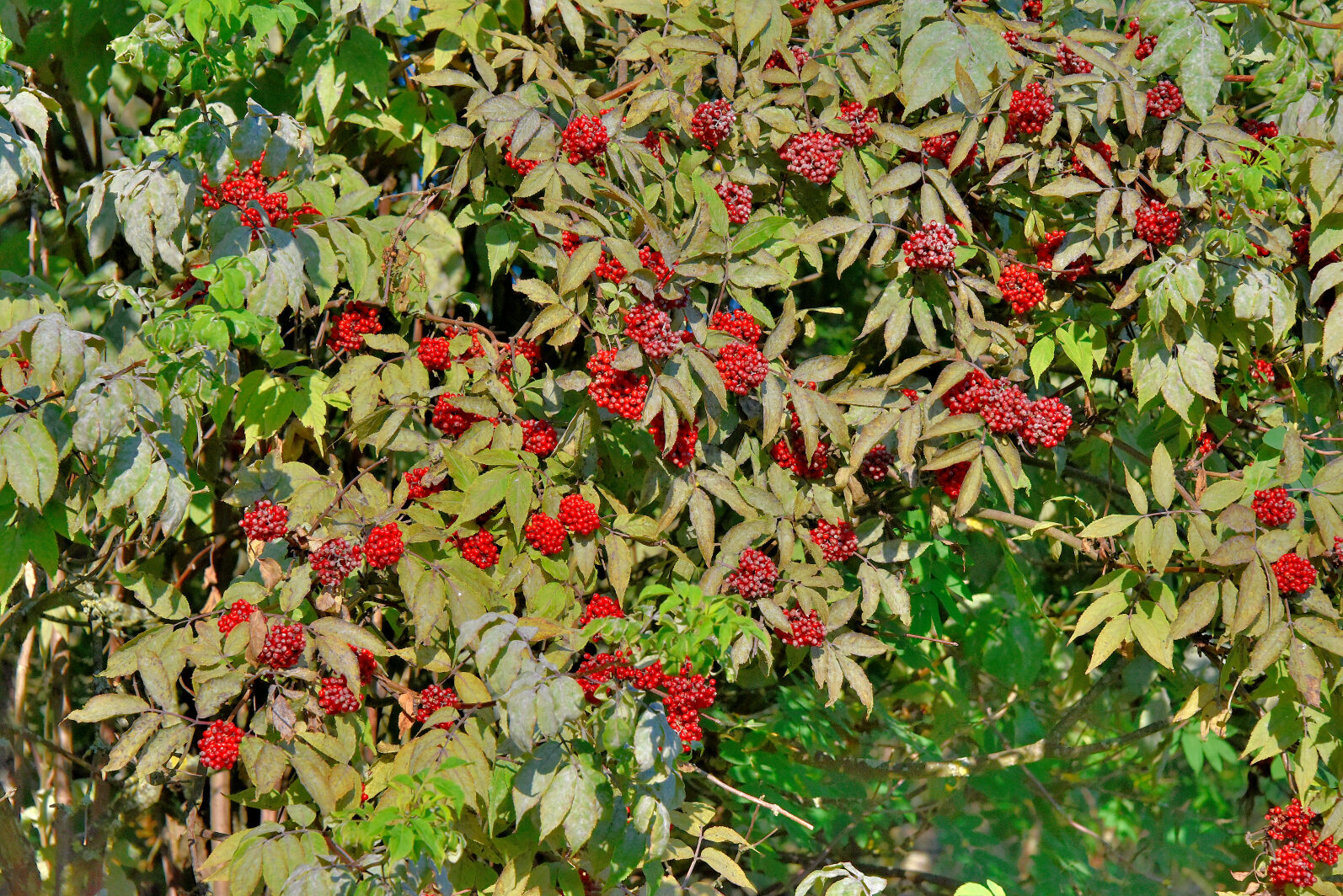 Valokuvaaja: Reijo Juurinen