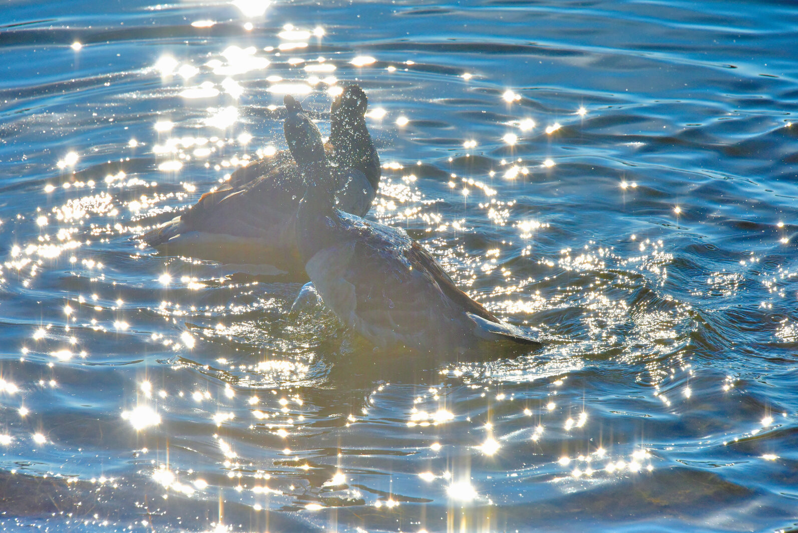 Valokuvaaja: Reijo Juurinen
