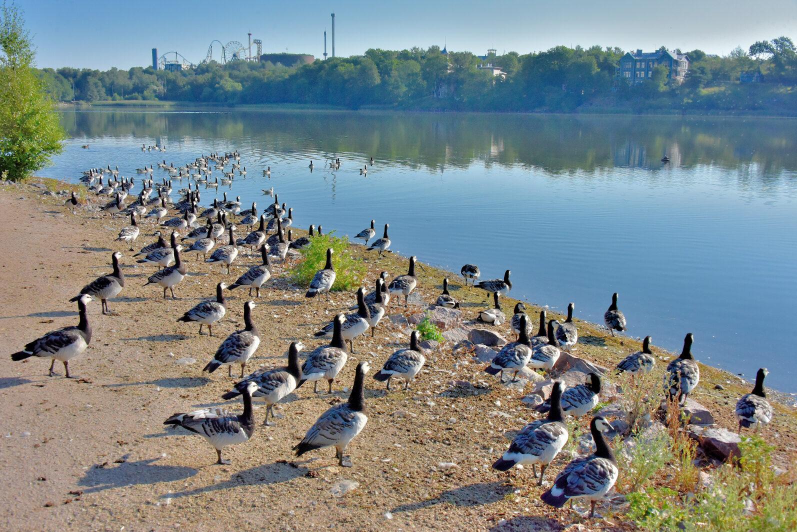Valokuvaaja: Reijo Juurinen