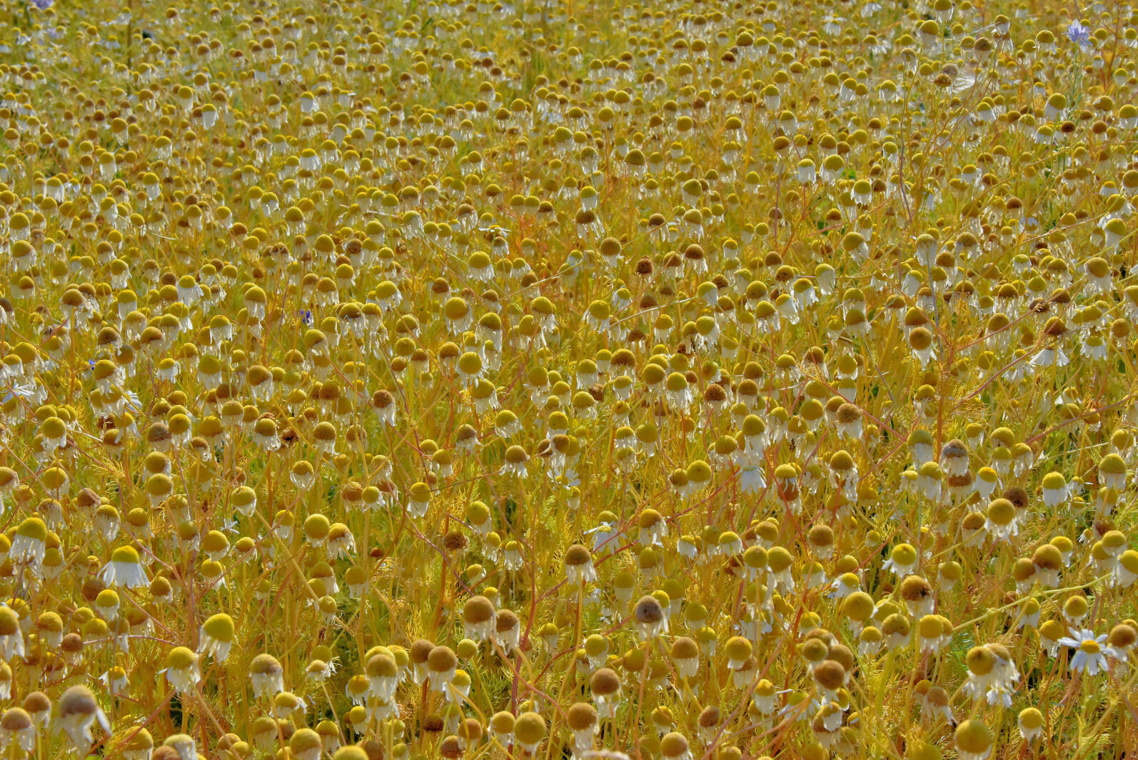 Valokuvaaja: Reijo Juurinen