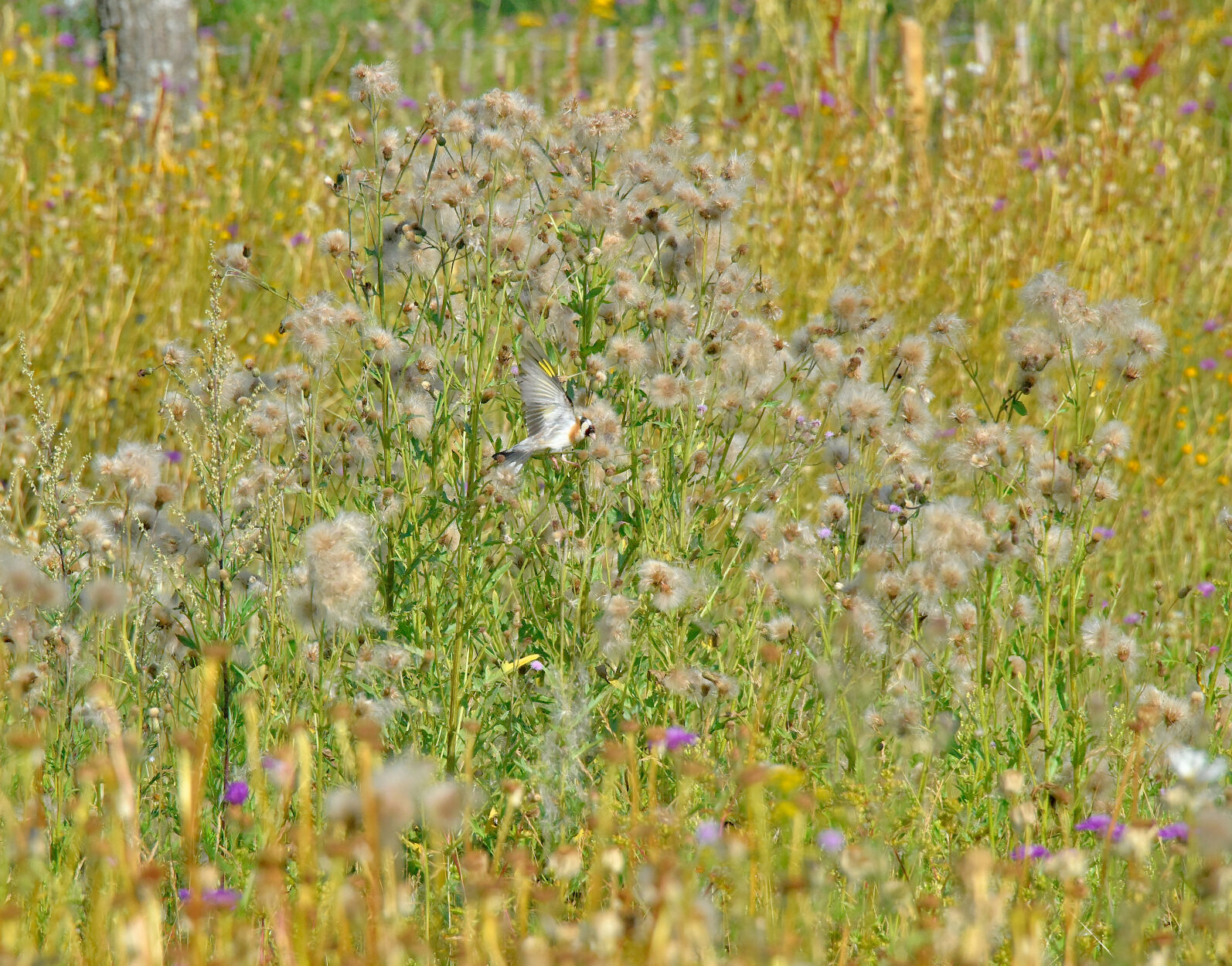 Valokuvaaja: Reijo Juurinen
