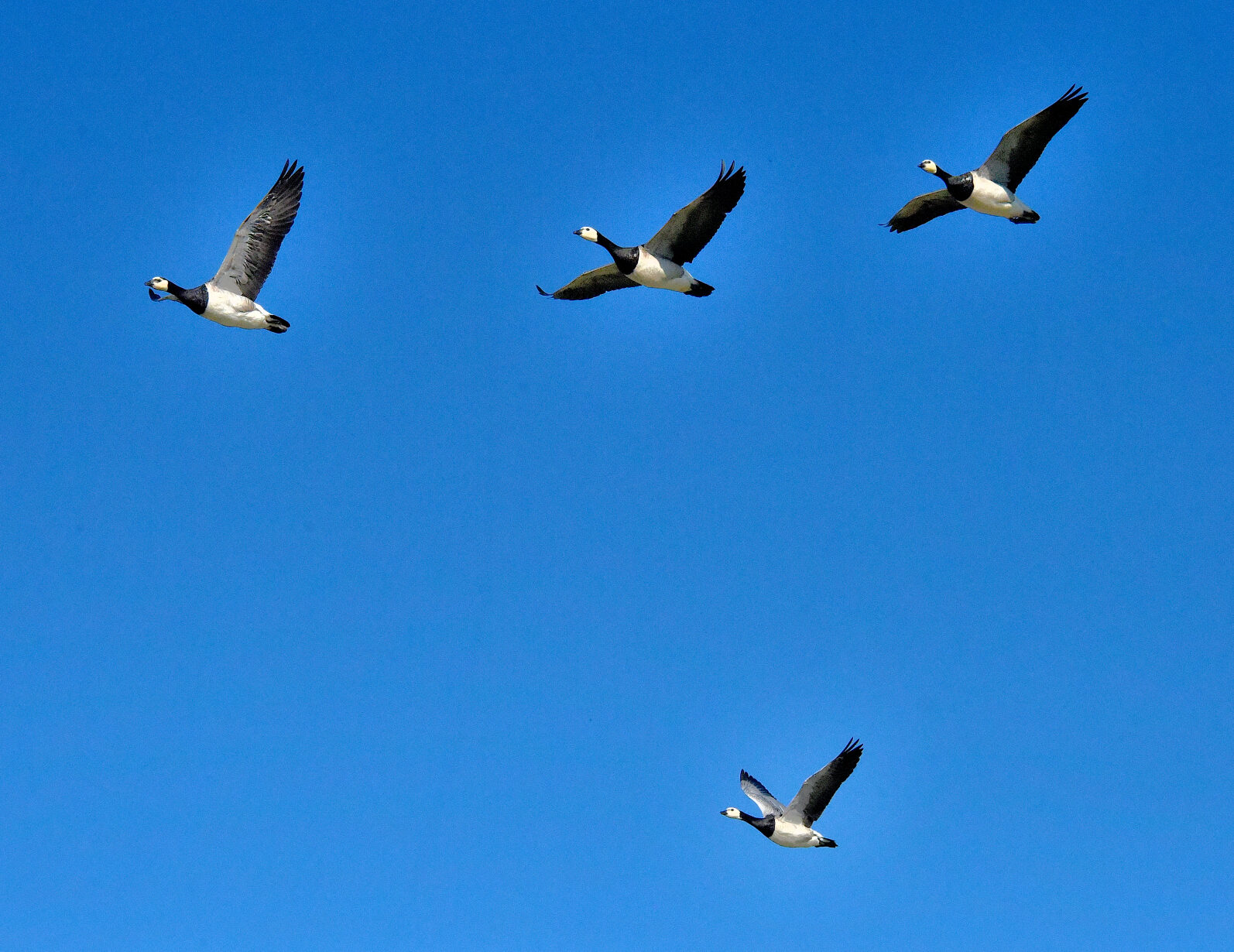 Valokuvaaja: Reijo Juurinen