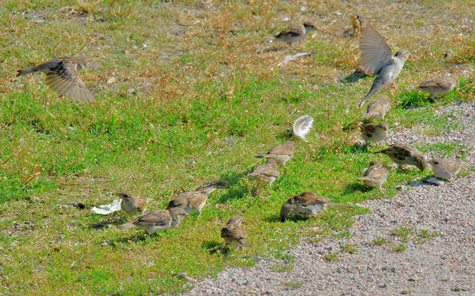 Valokuvaaja: Reijo Juurinen