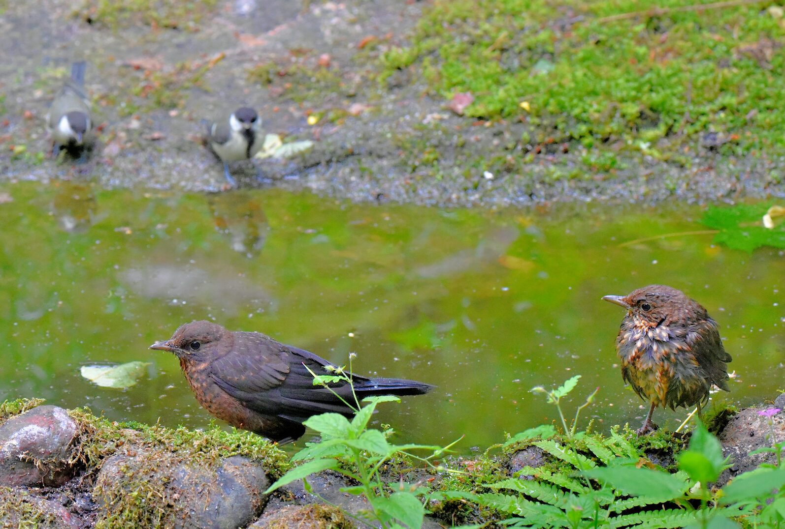 Valokuvaaja: Reijo Juurinen