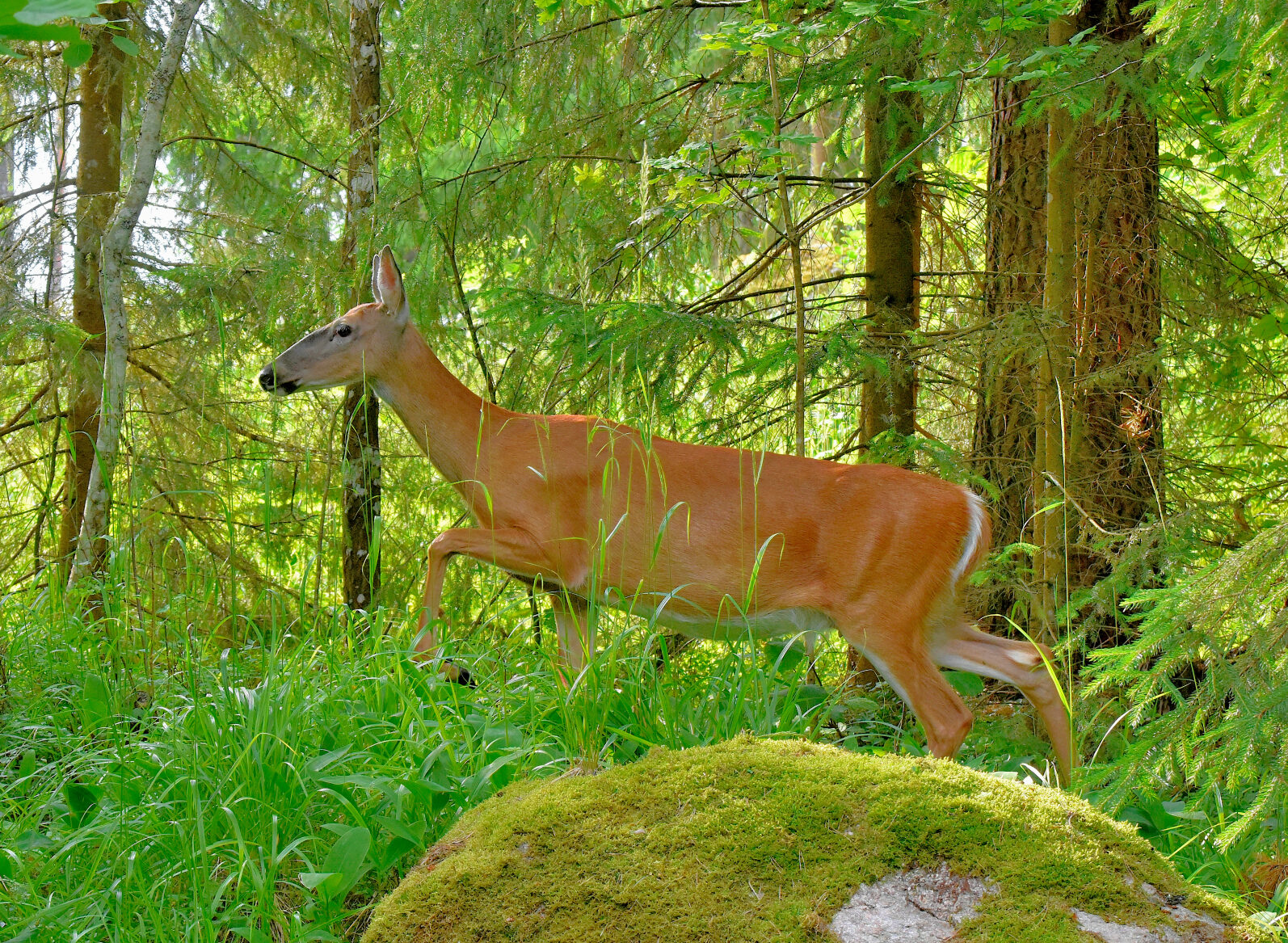 Valokuvaaja: Reijo Juurinen
