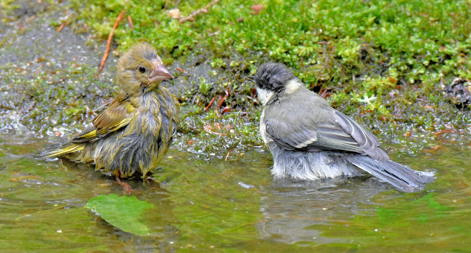 Valokuvaaja: Reijo Juurinen