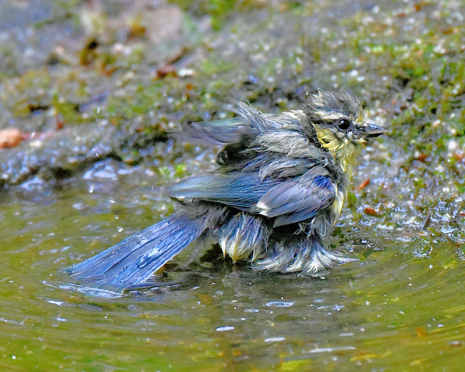 Valokuvaaja: Reijo Juurinen