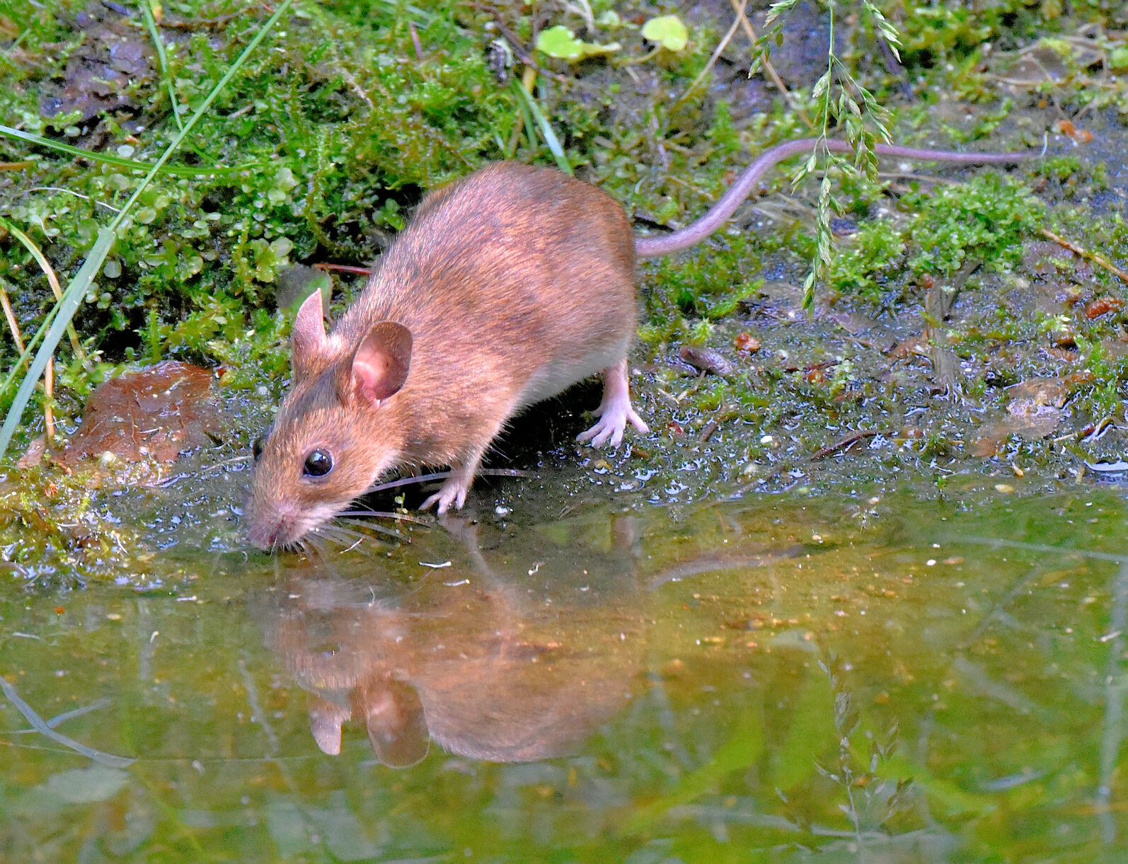 Valokuvaaja: Reijo Juurinen Valokuvaaja: Reijo Juurinen