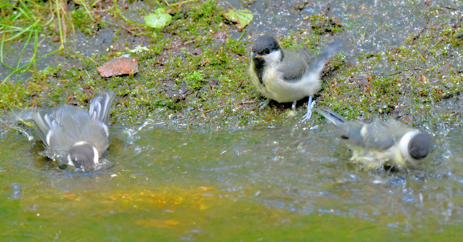 Valokuvaaja: Reijo Juurinen