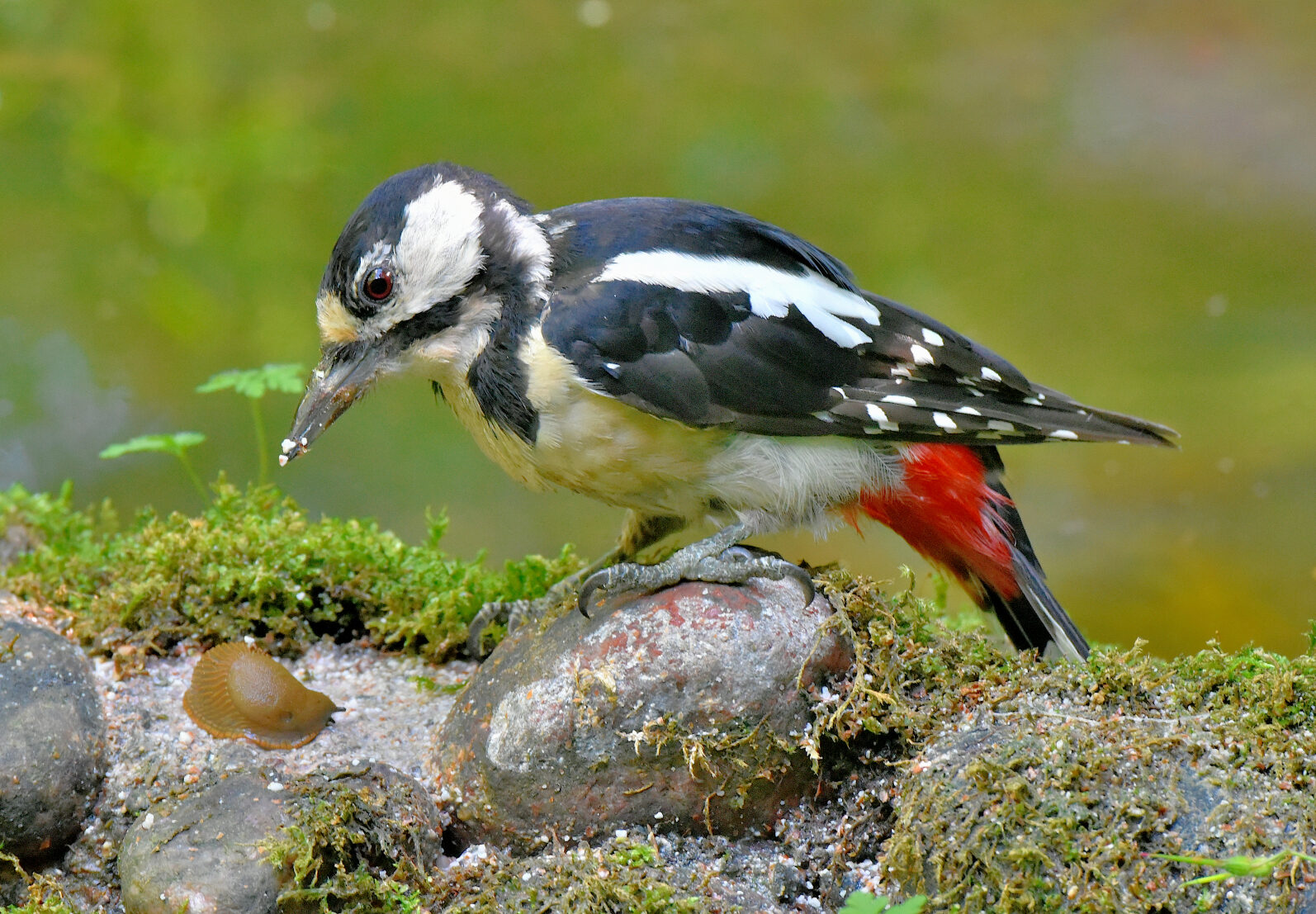 Valokuvaaja: Reijo Juurinen