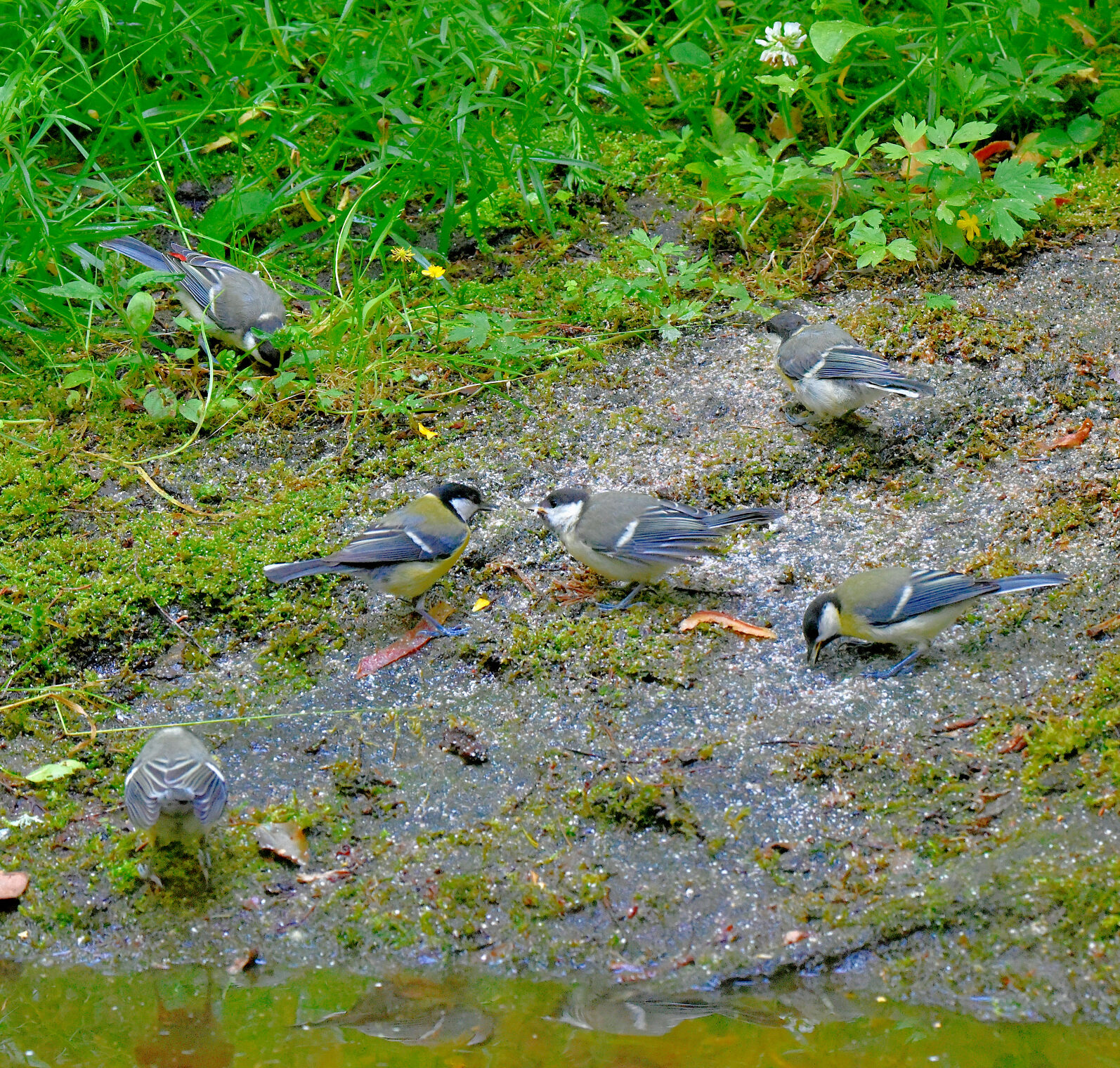 Valokuvaaja: Reijo Juurinen