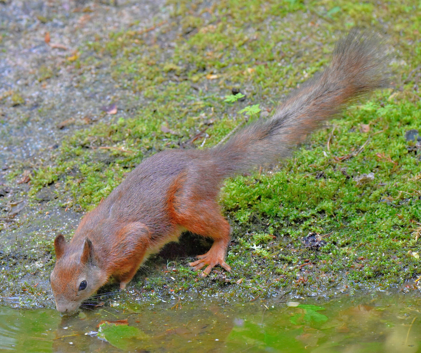 Valokuvaaja: Reijo Juurinen
