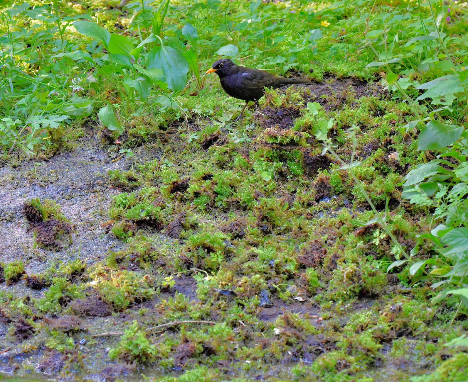 Valokuvaaja: Reijo Juurinen