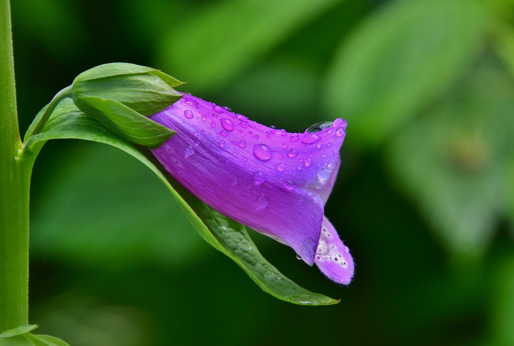 Valokuvaaja: Markku Pelkonen
