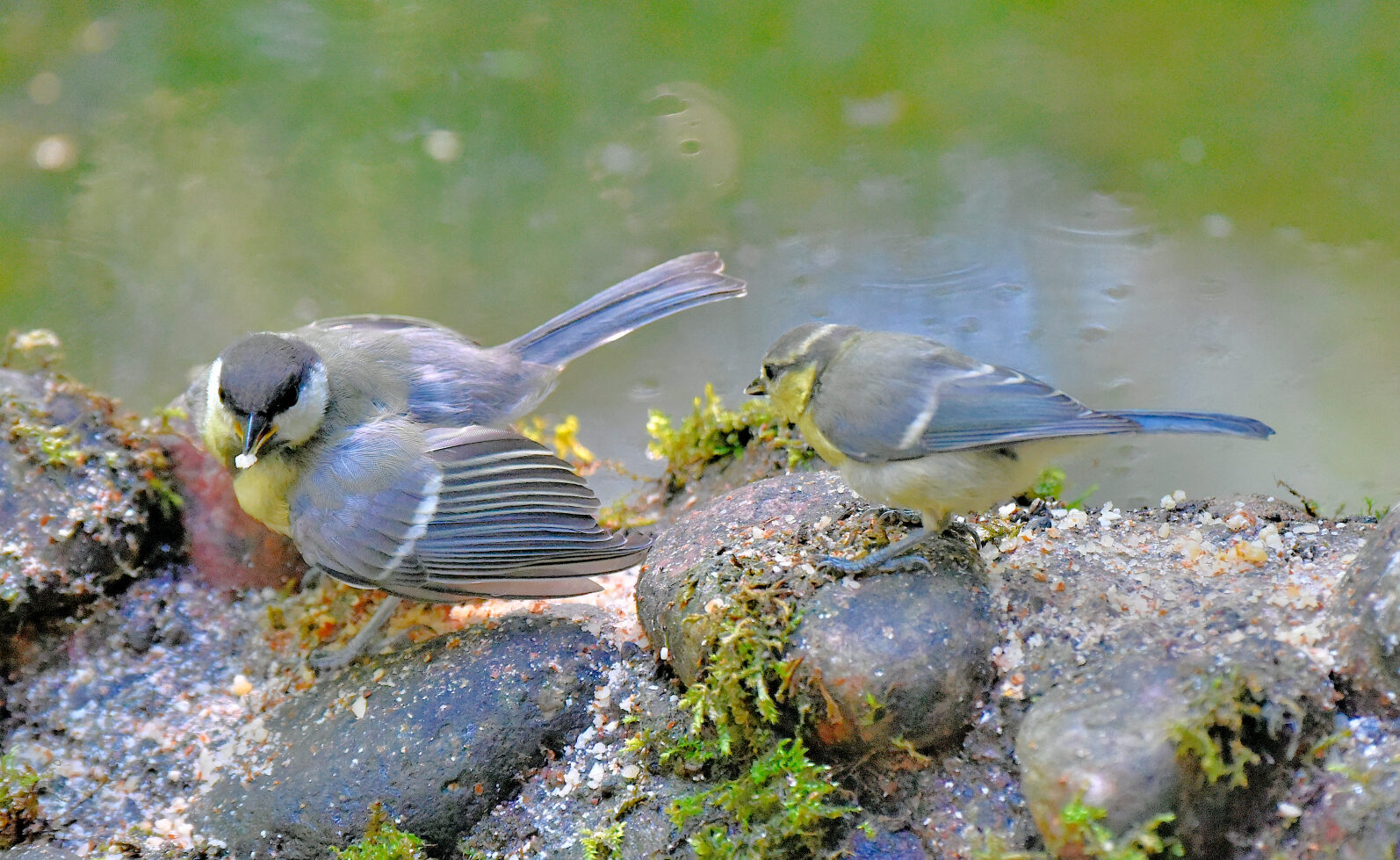 Valokuvaaja: Reijo Juurinen