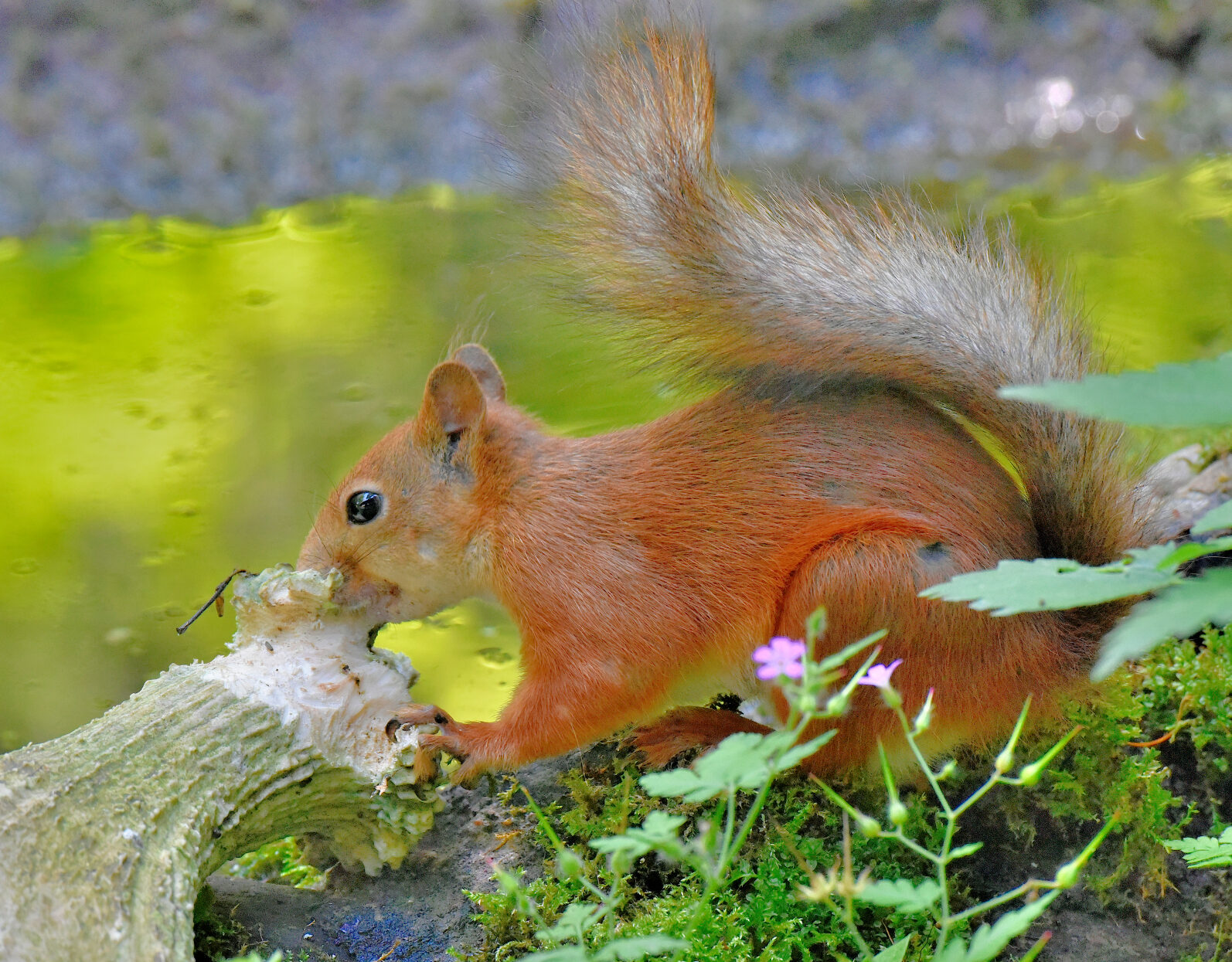 Valokuvaaja: Reijo Juurinen