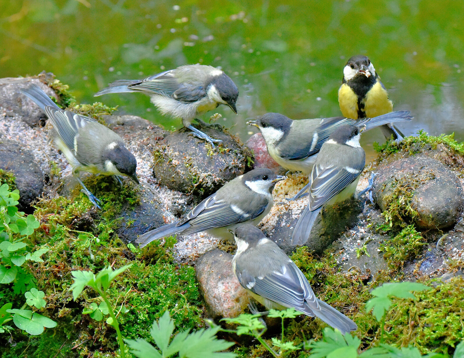 Valokuvaaja: Reijo Juurinen