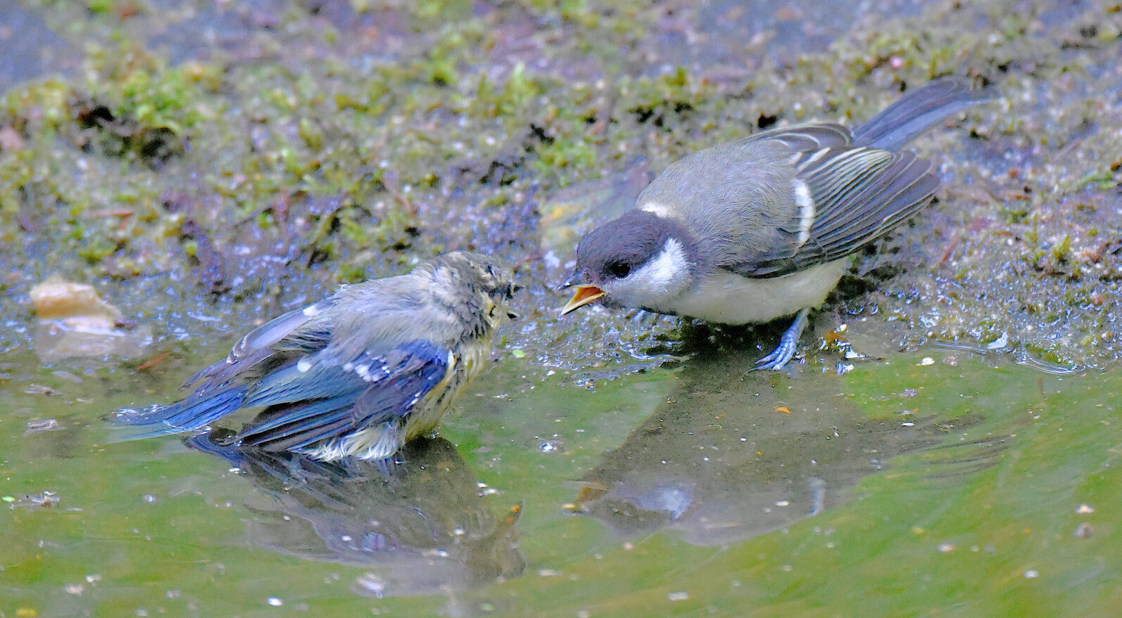 Valokuvaaja: Reijo Juurinen