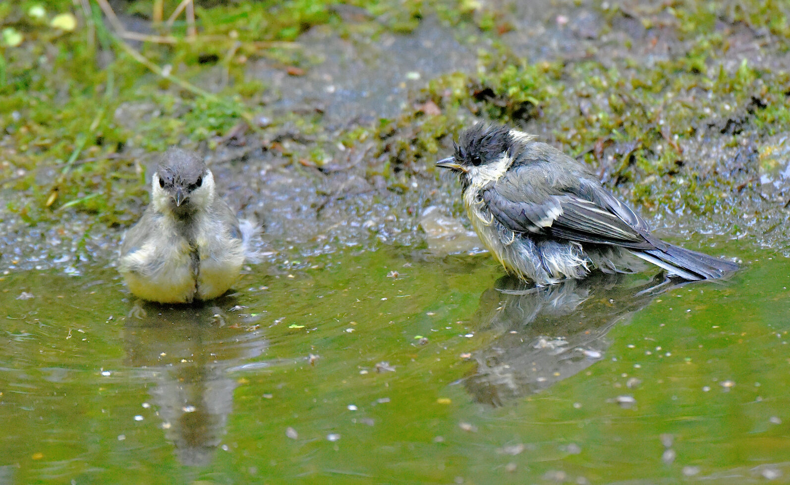 Valokuvaaja: Reijo Juurinen