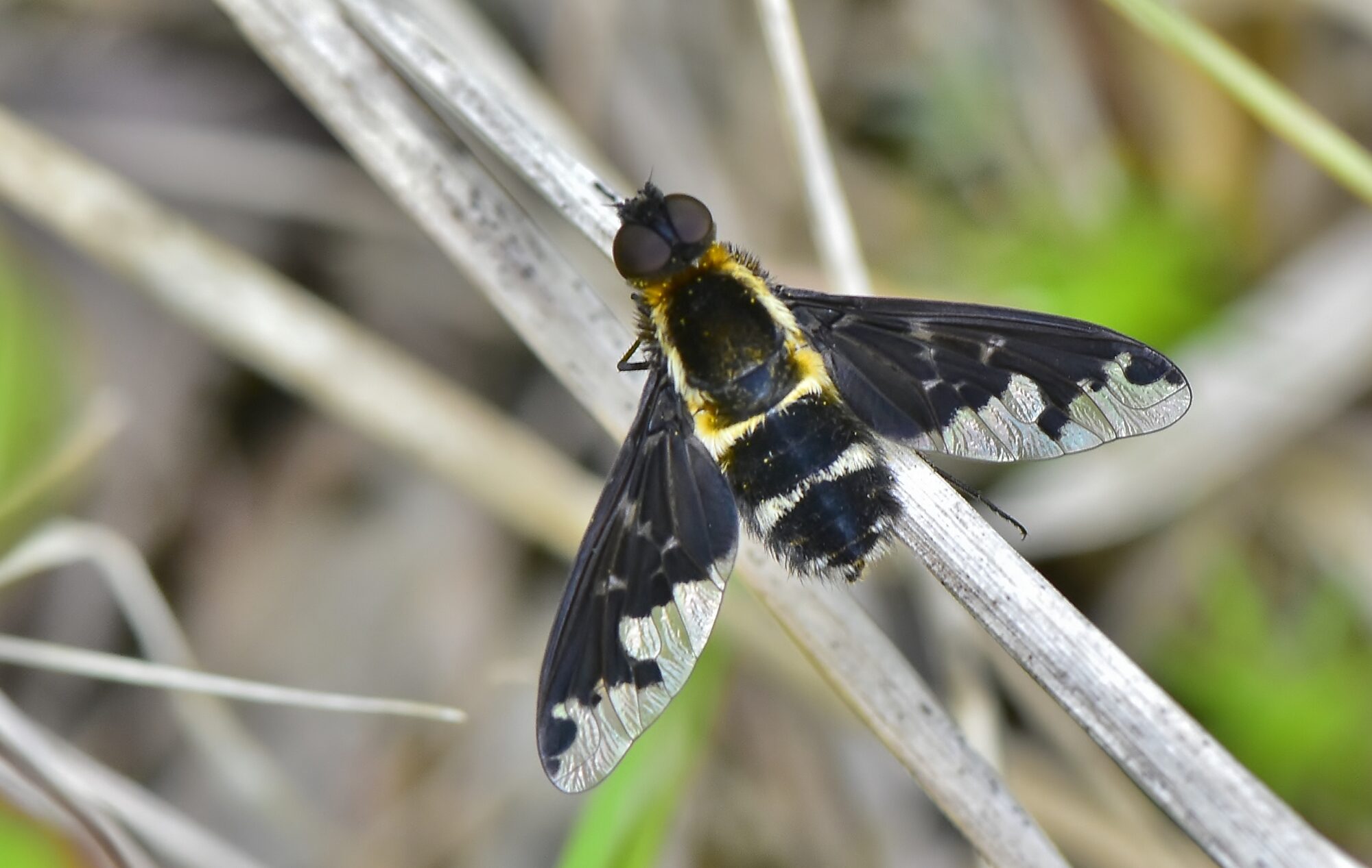 Valokuvaaja: Markku Pelkonen