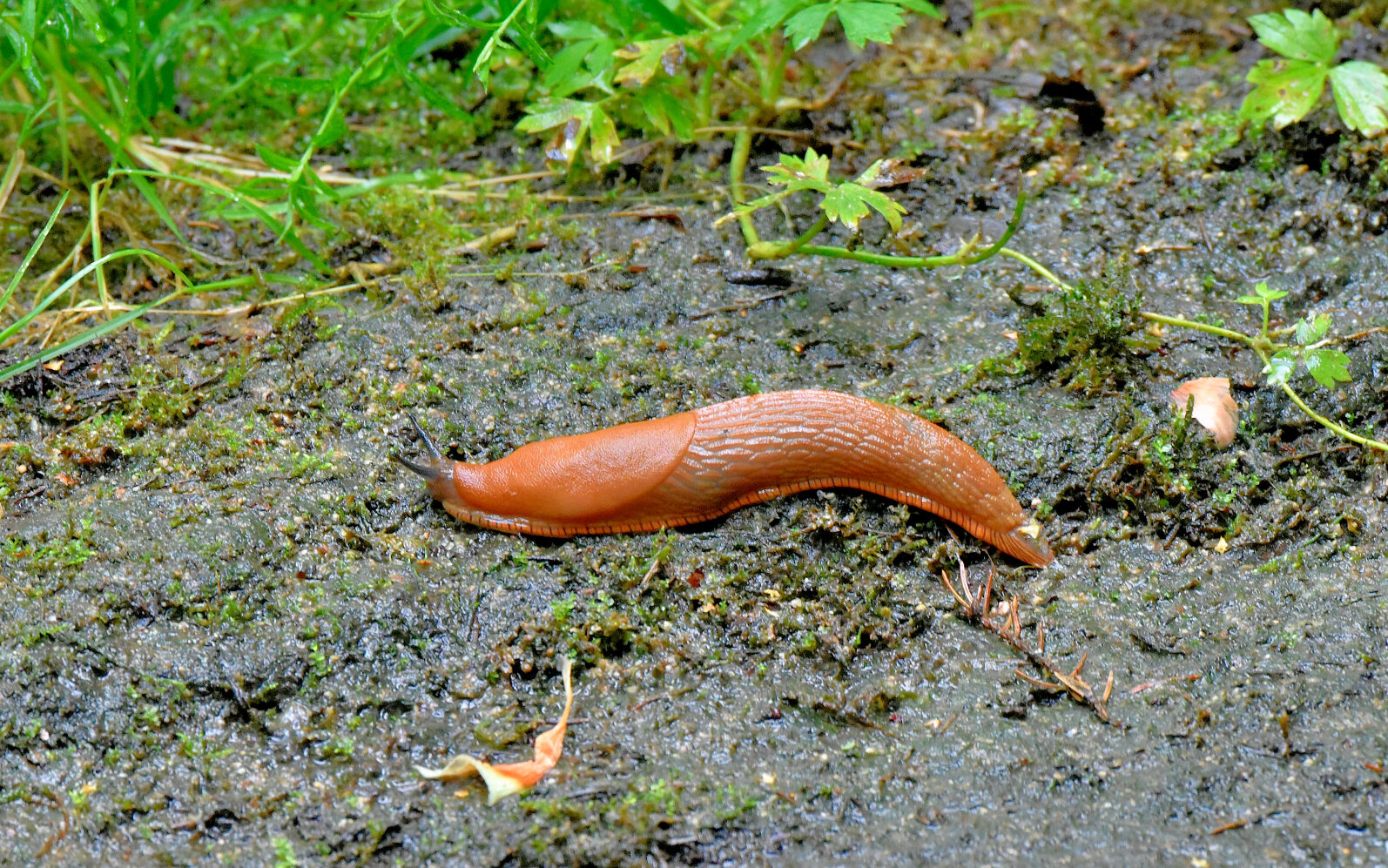 Valokuvaaja: Reijo Juurinen