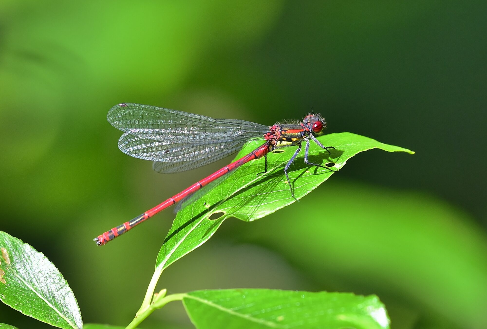 Valokuvaaja: Markku Pelkonen