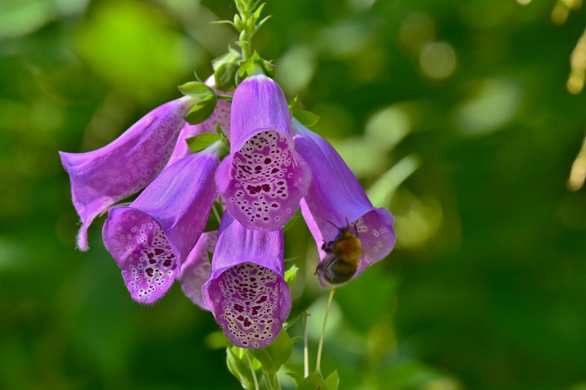 Valokuvaaja: Markku Pelkonen