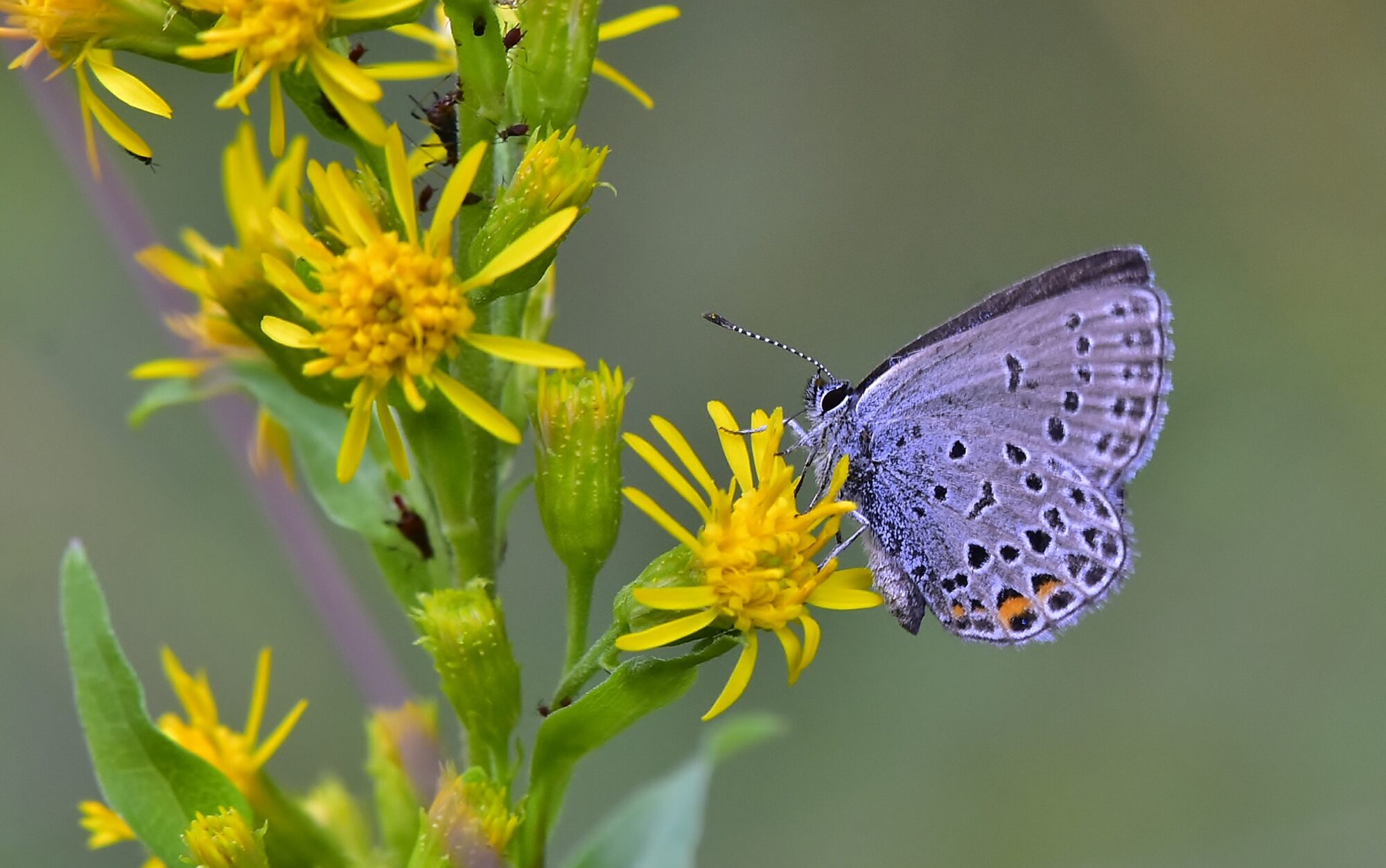 Valokuvaaja: Markku Pelkonen
