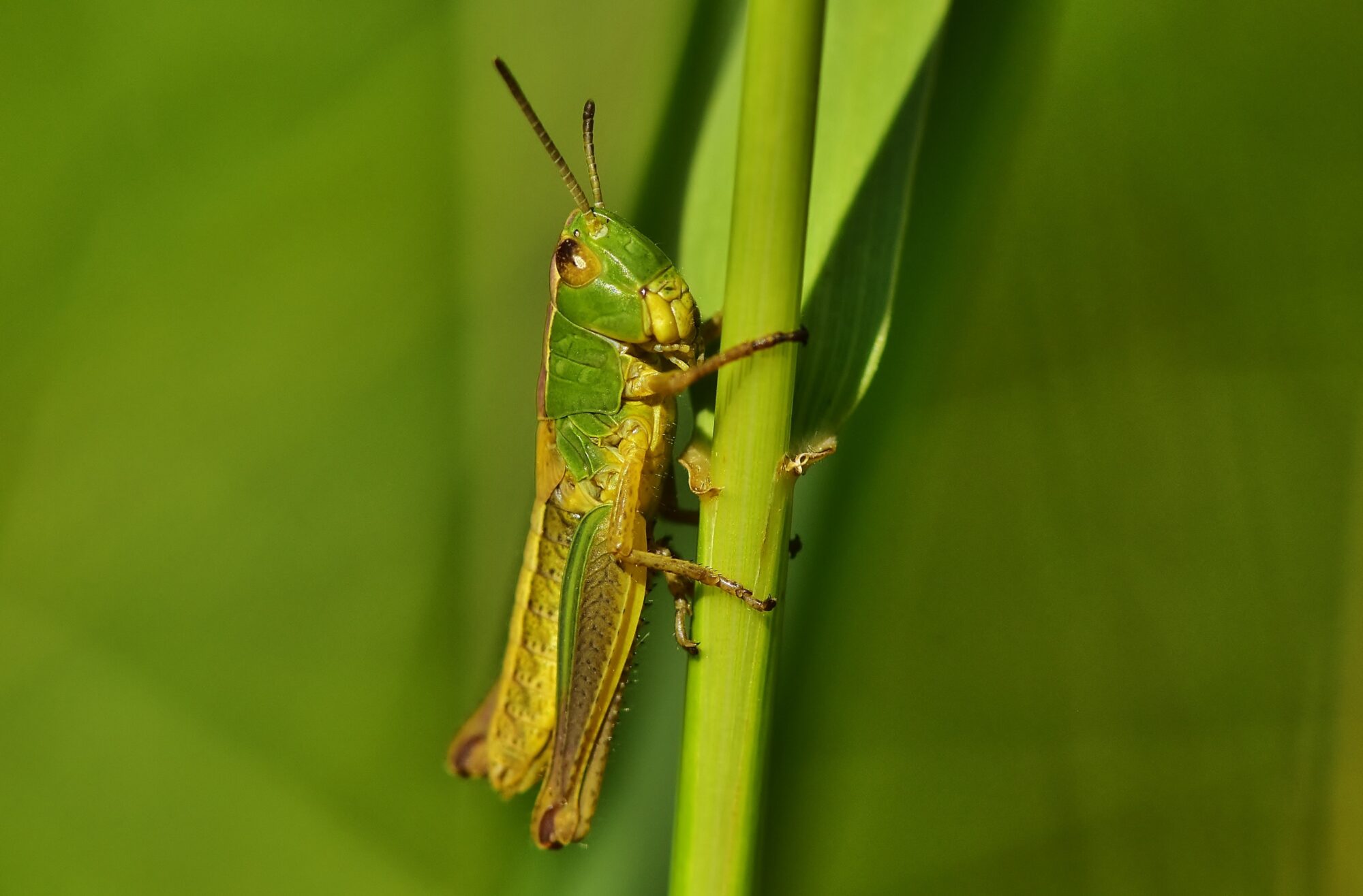 Valokuvaaja: Markku Pelkonen