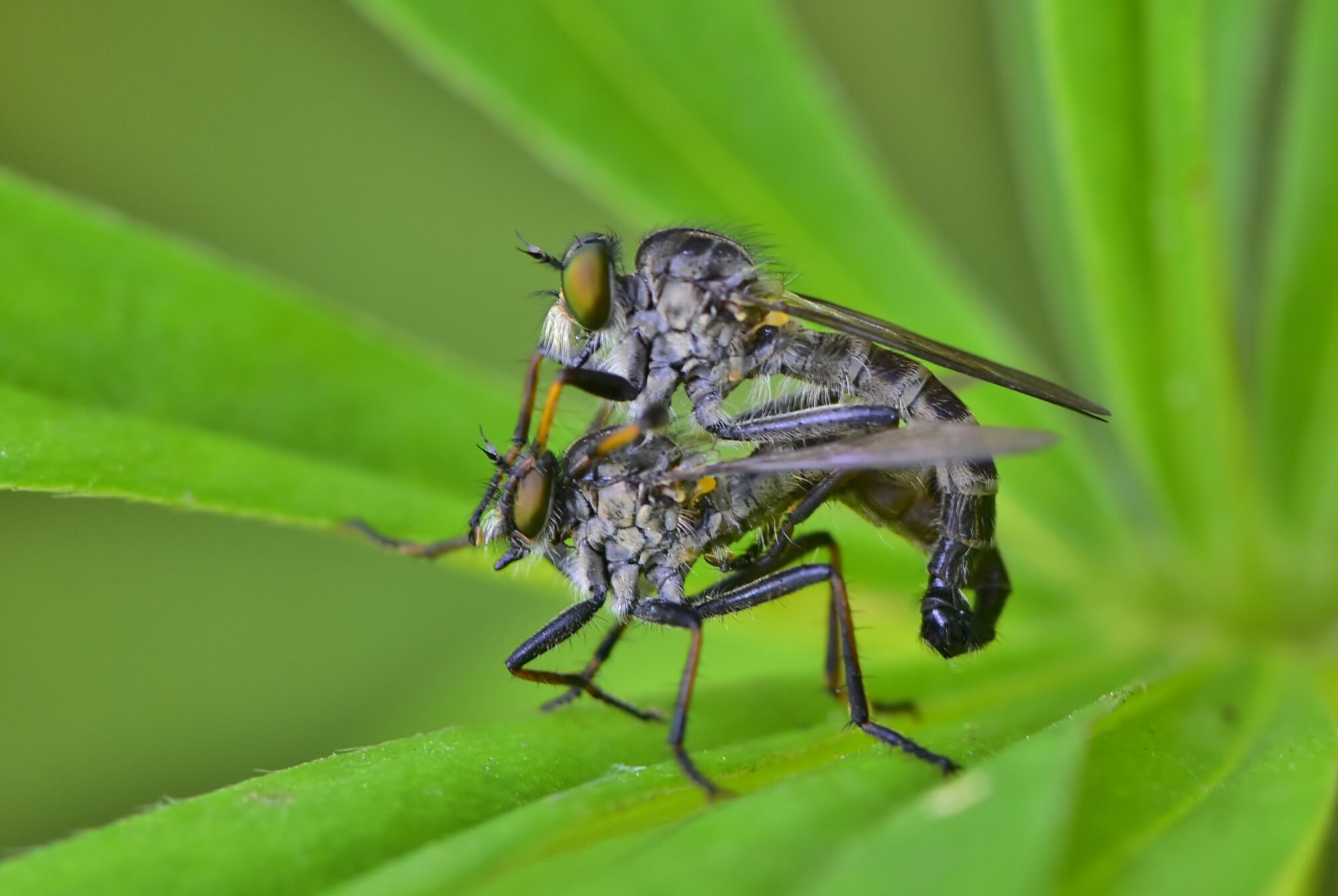 Valokuvaaja: Markku Pelkonen