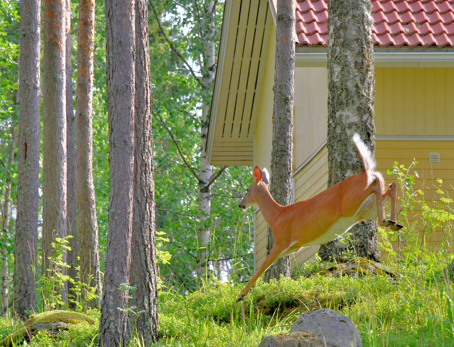 Valokuvaaja: Reijo Juurinen