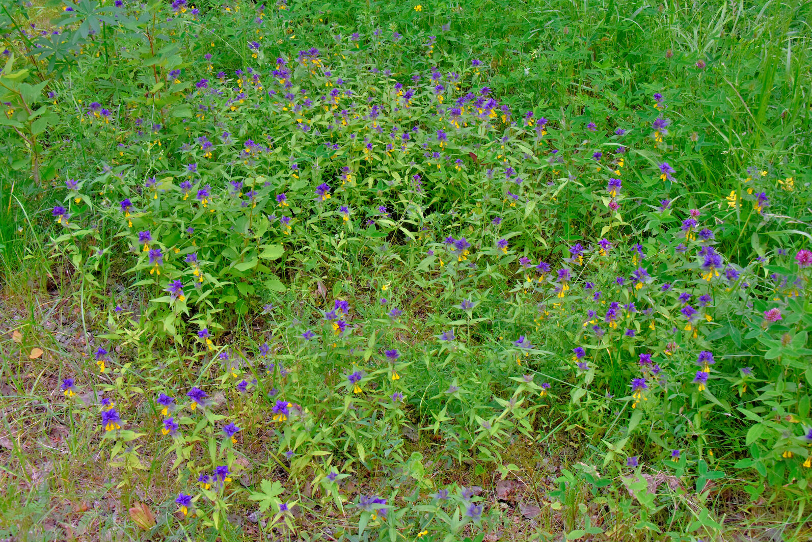 Valokuvaaja: Reijo Juurinen