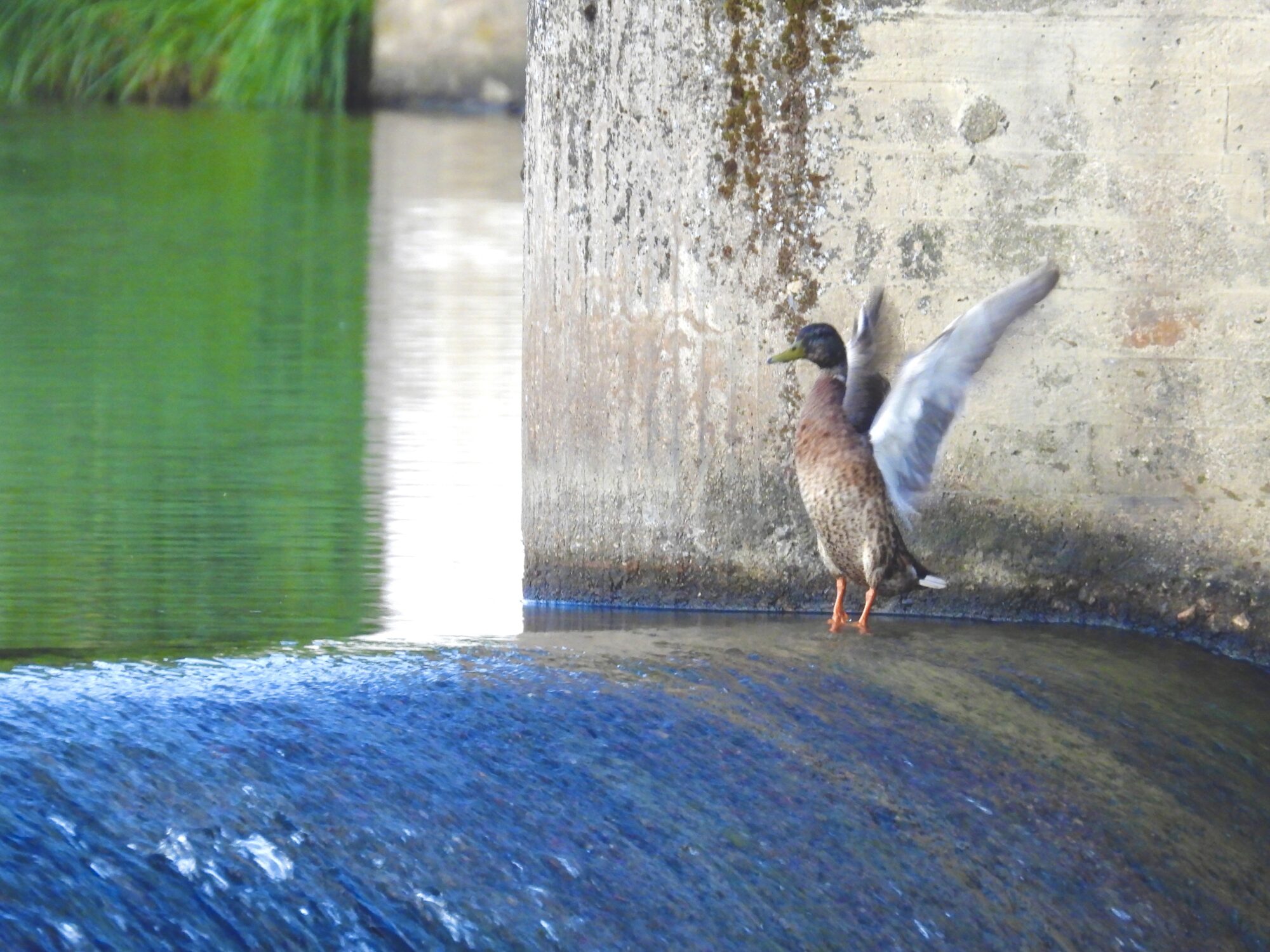 Valokuvaaja: Juhani Peltonen