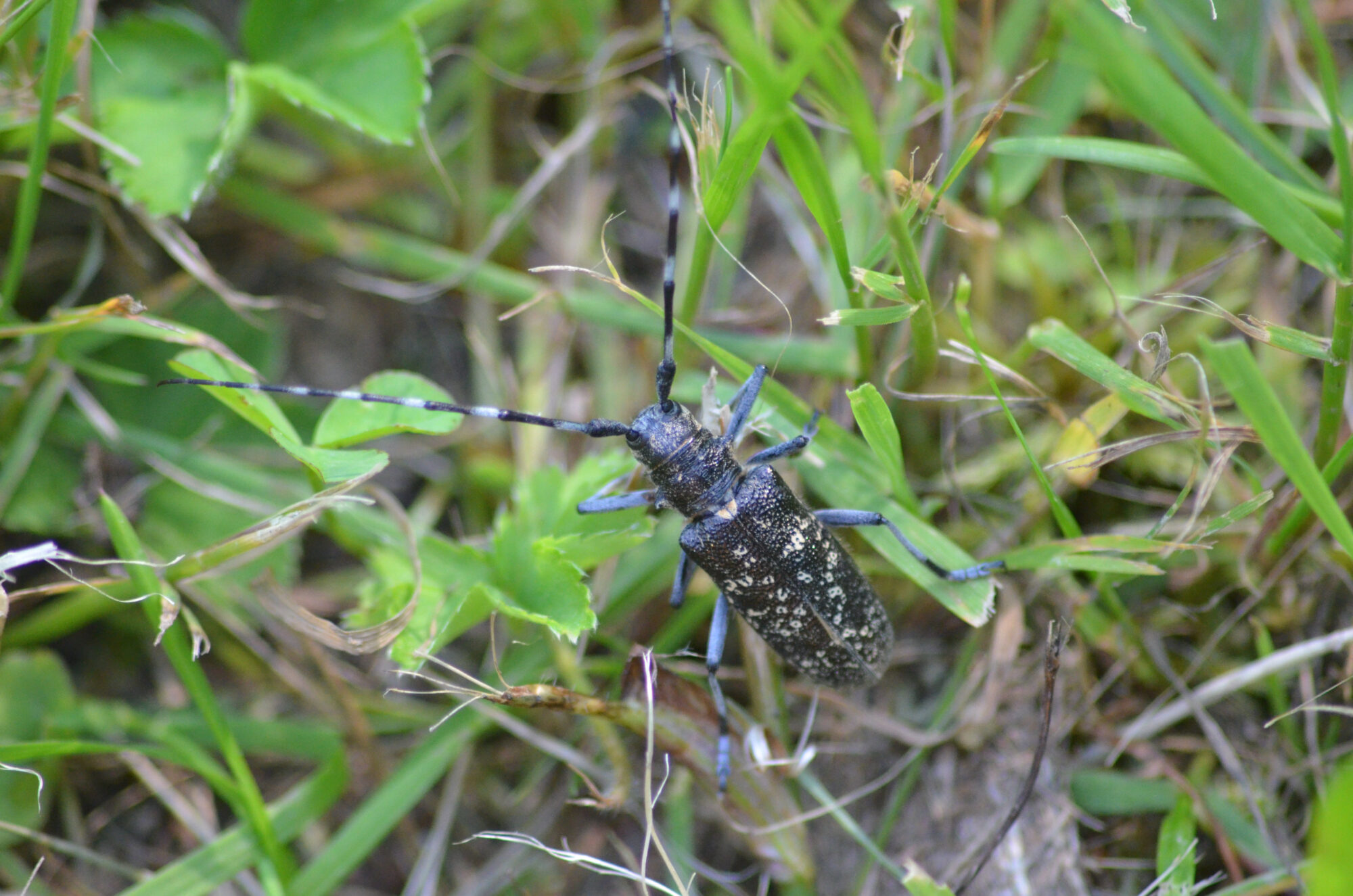 Valokuvaaja: Toni Asikainen