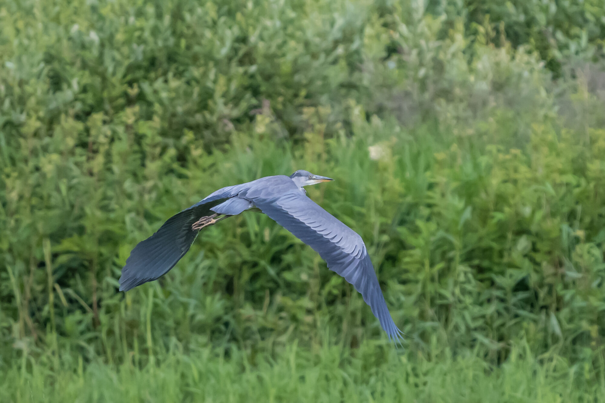 Valokuvaaja: Markku Saarinen