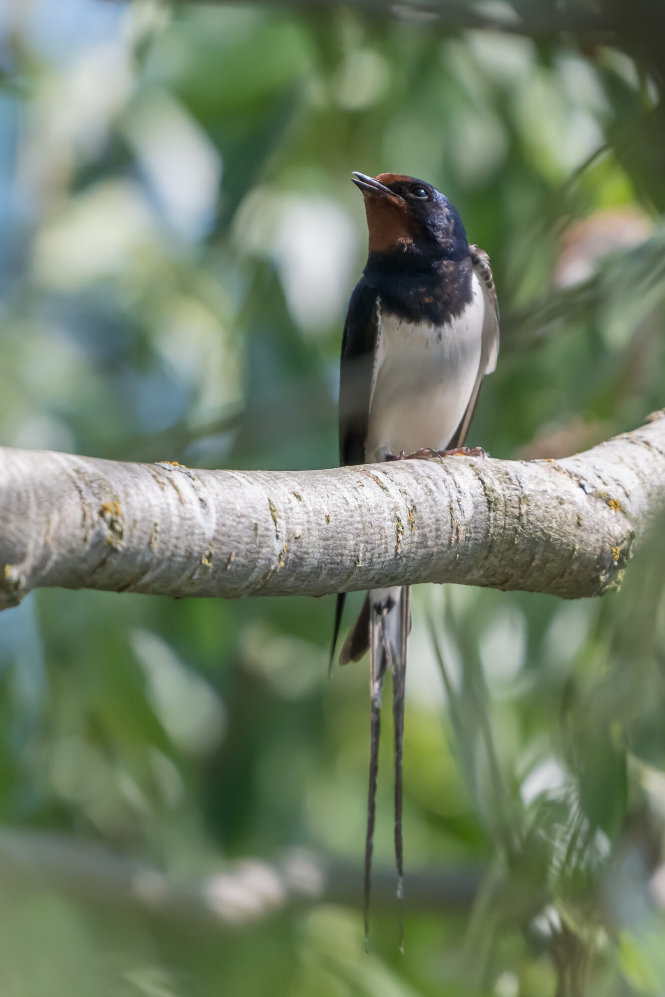 Valokuvaaja: Markku Saarinen Valokuvaaja: Markku Saarinen