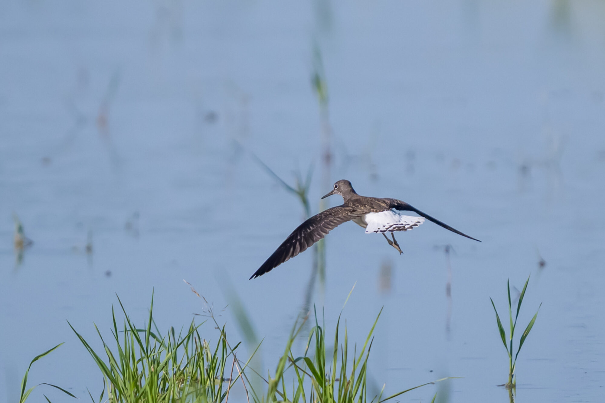 Valokuvaaja: Markku Saarinen