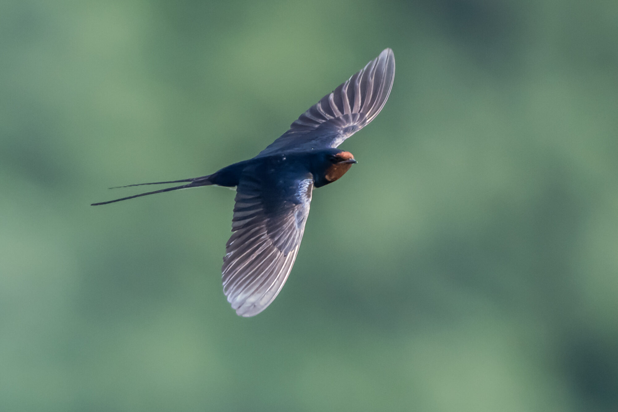 Valokuvaaja: Markku Saarinen