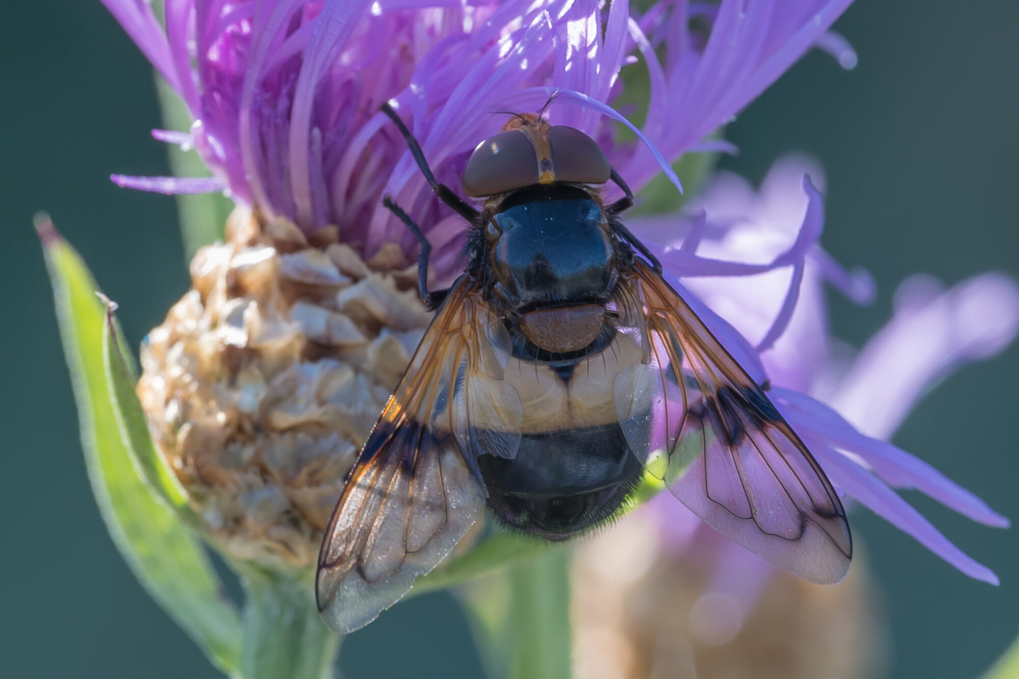 Valokuvaaja: Markku Saarinen