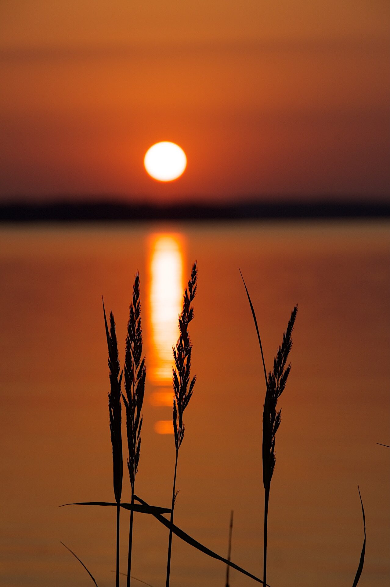 Valokuvaaja: Lasse Rokka