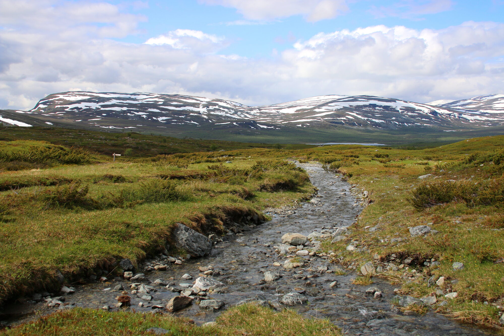 Valokuvaaja: Tuukka Pahtamaa