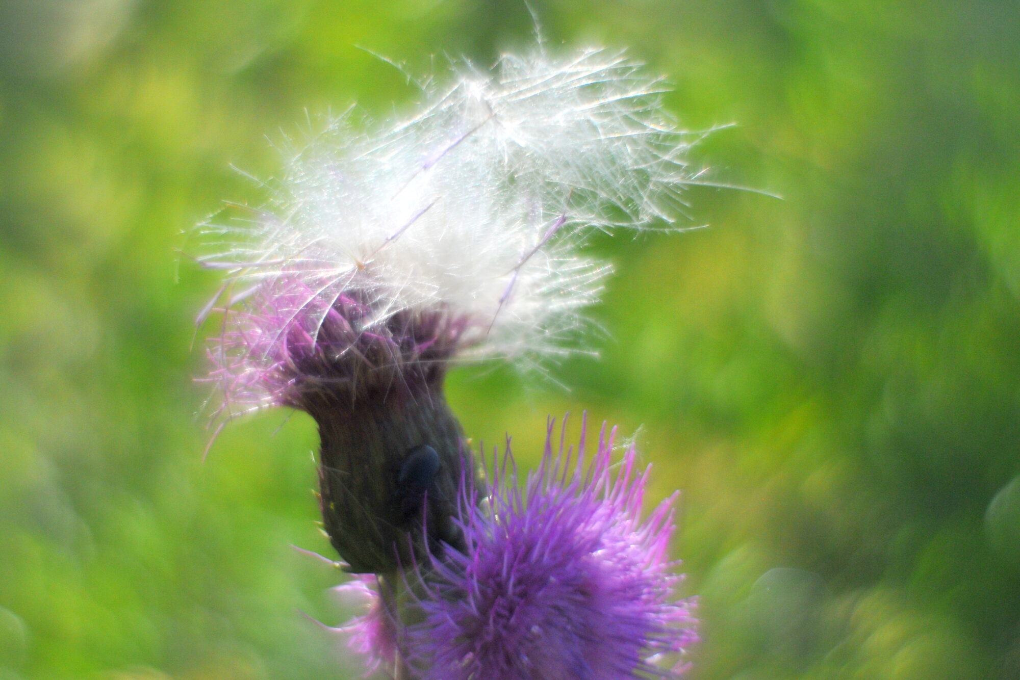 Valokuvaaja: Kaarlo Asikainen Valokuvaaja: Kaarlo Asikainen