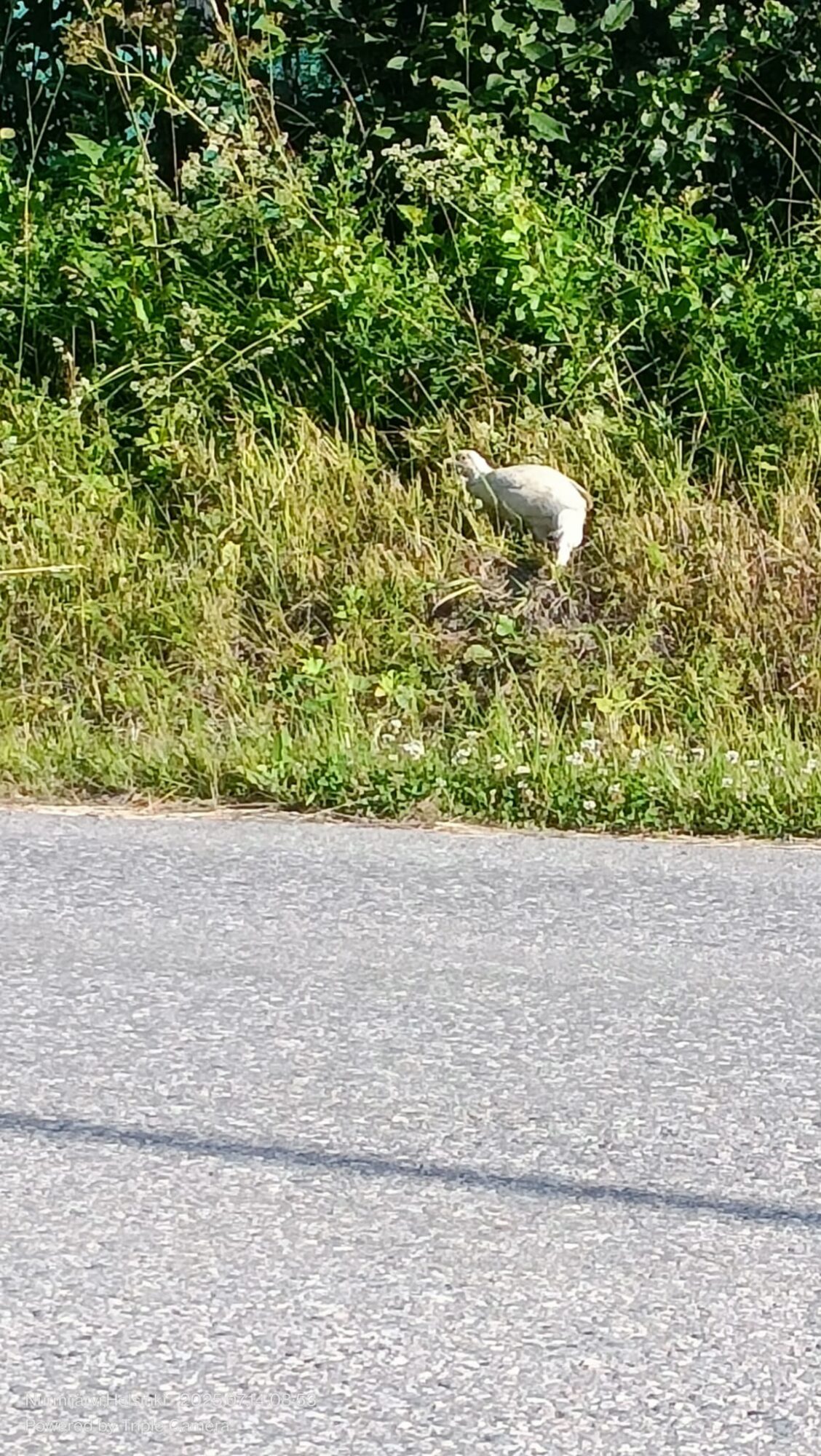 Valokuvaaja: Sari Lehtinen Valokuvaaja: Sari Lehtinen