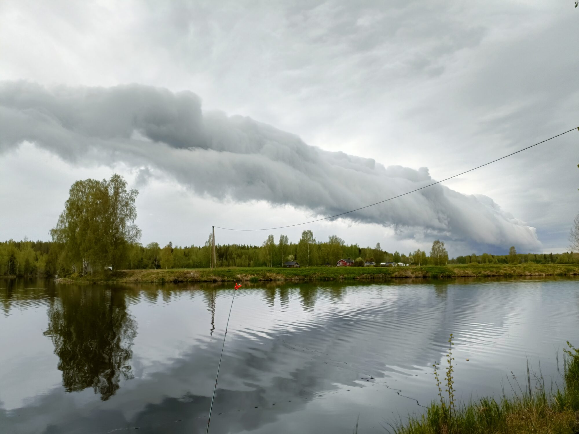 Valokuvaaja: Tanja Ojanperä