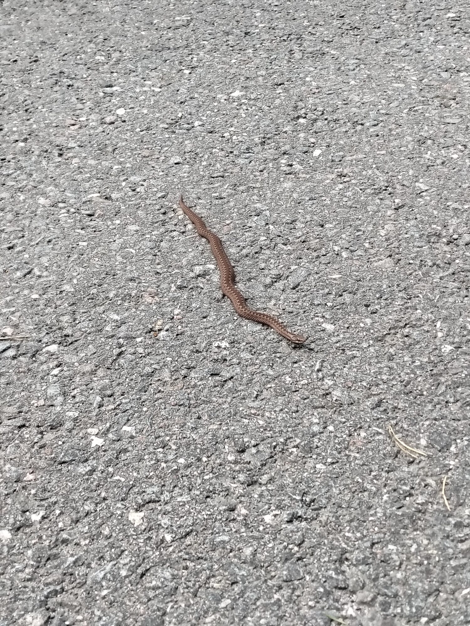 Valokuvaaja: Asta Lehtimäki