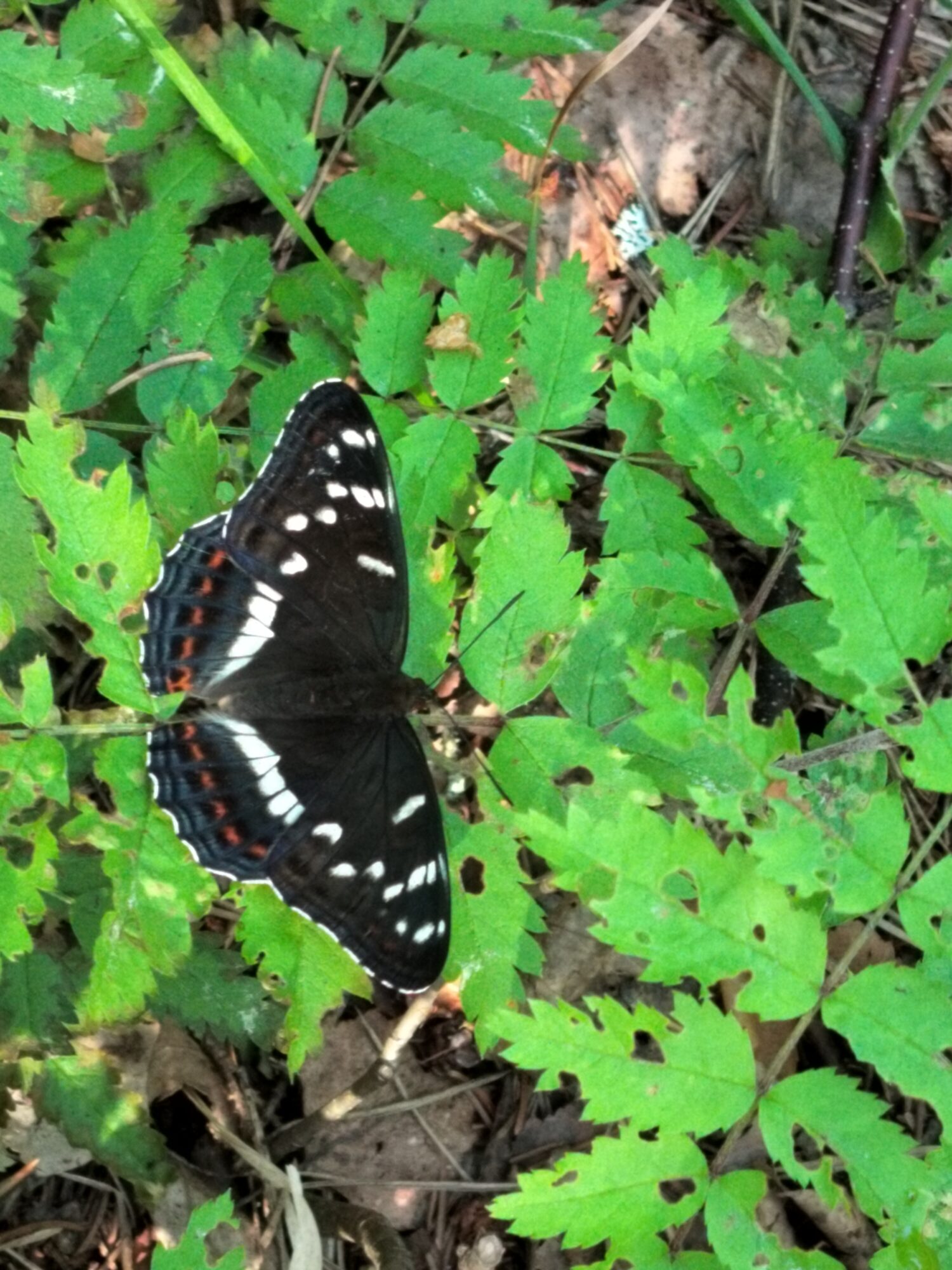 Valokuvaaja: Jani sippola