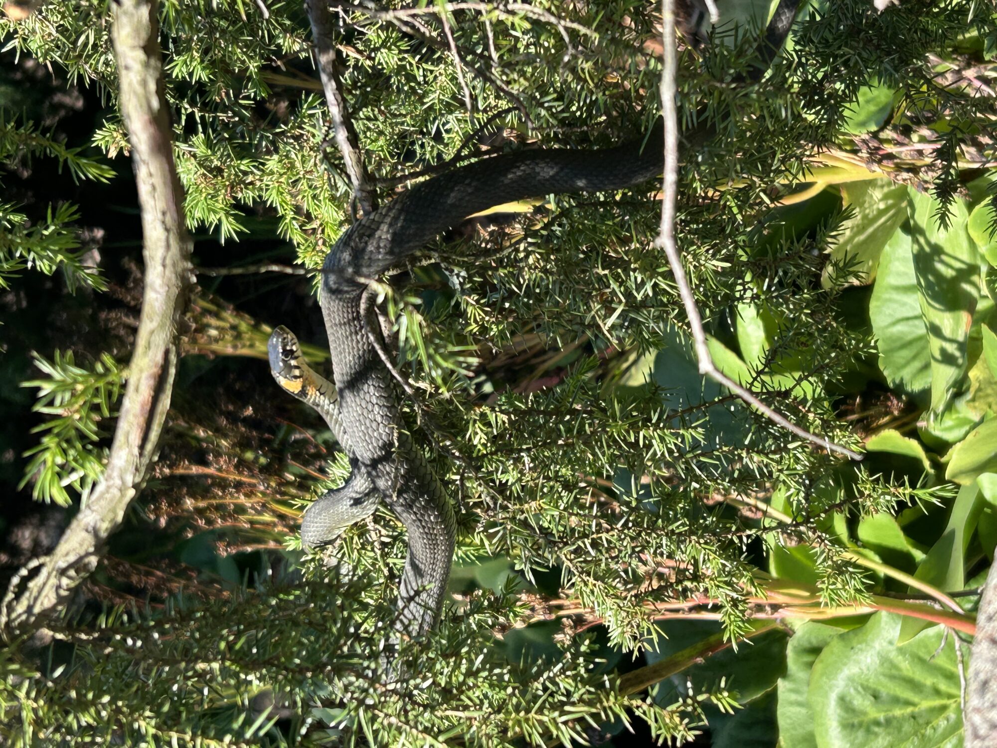 Valokuvaaja: Eva Lähteenmäki