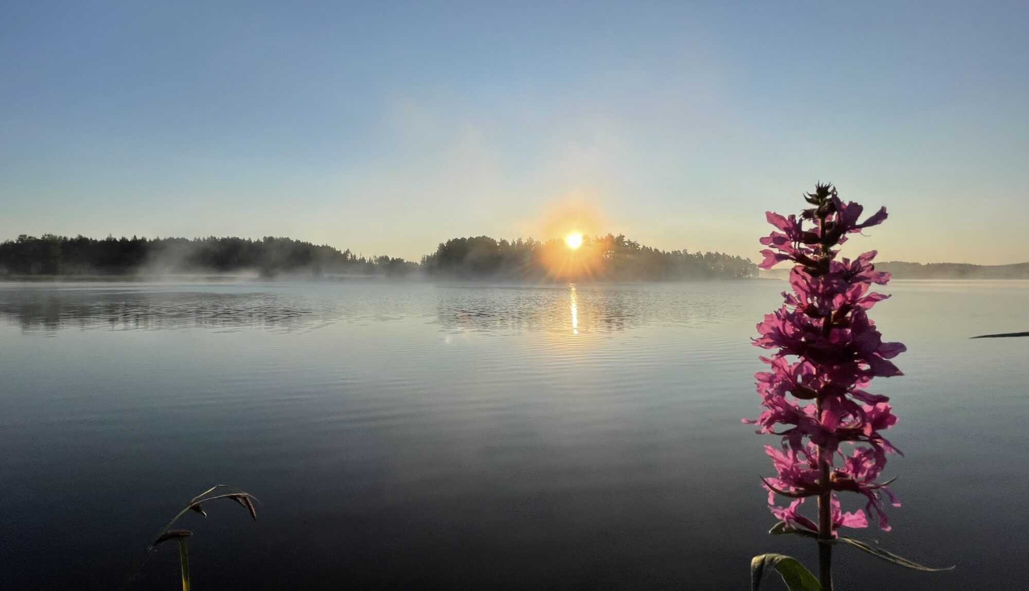 Valokuvaaja: Liisa Niiva-Korpela