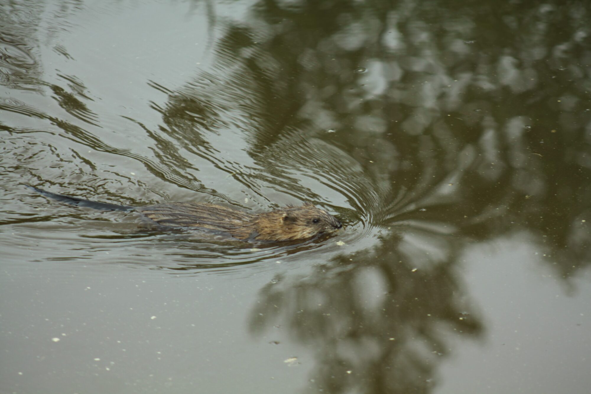 Valokuvaaja: Pirkko Siukonen